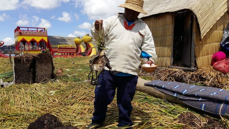 Uros on lake Titikaka