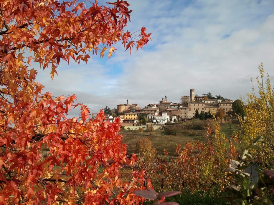 Neive Piedmont Italy