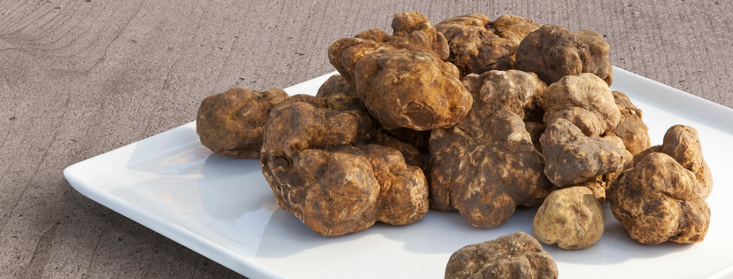 Tartufo Bianca del Piemonte - White Truffle
