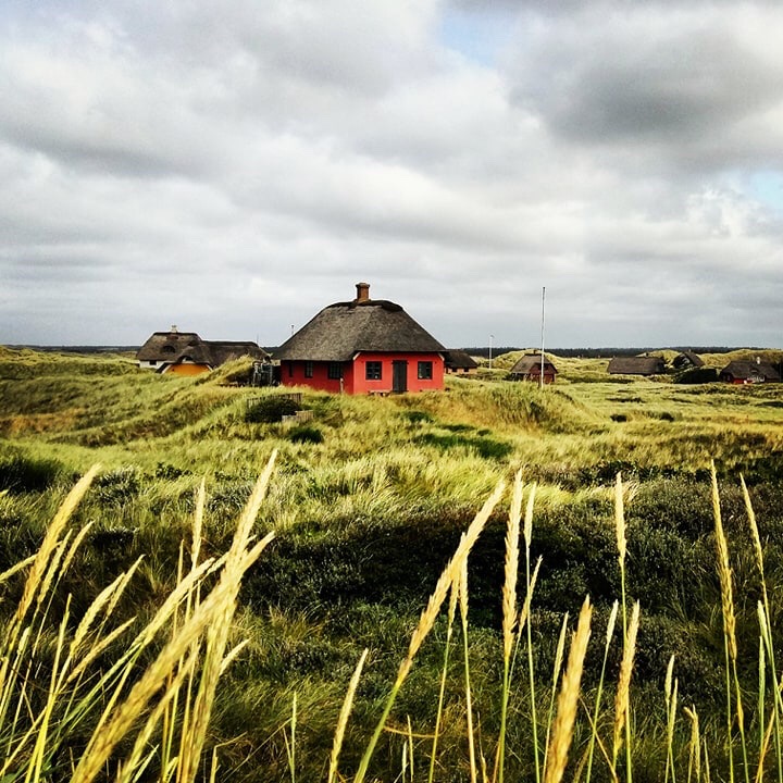 Summer Houses in Denmark