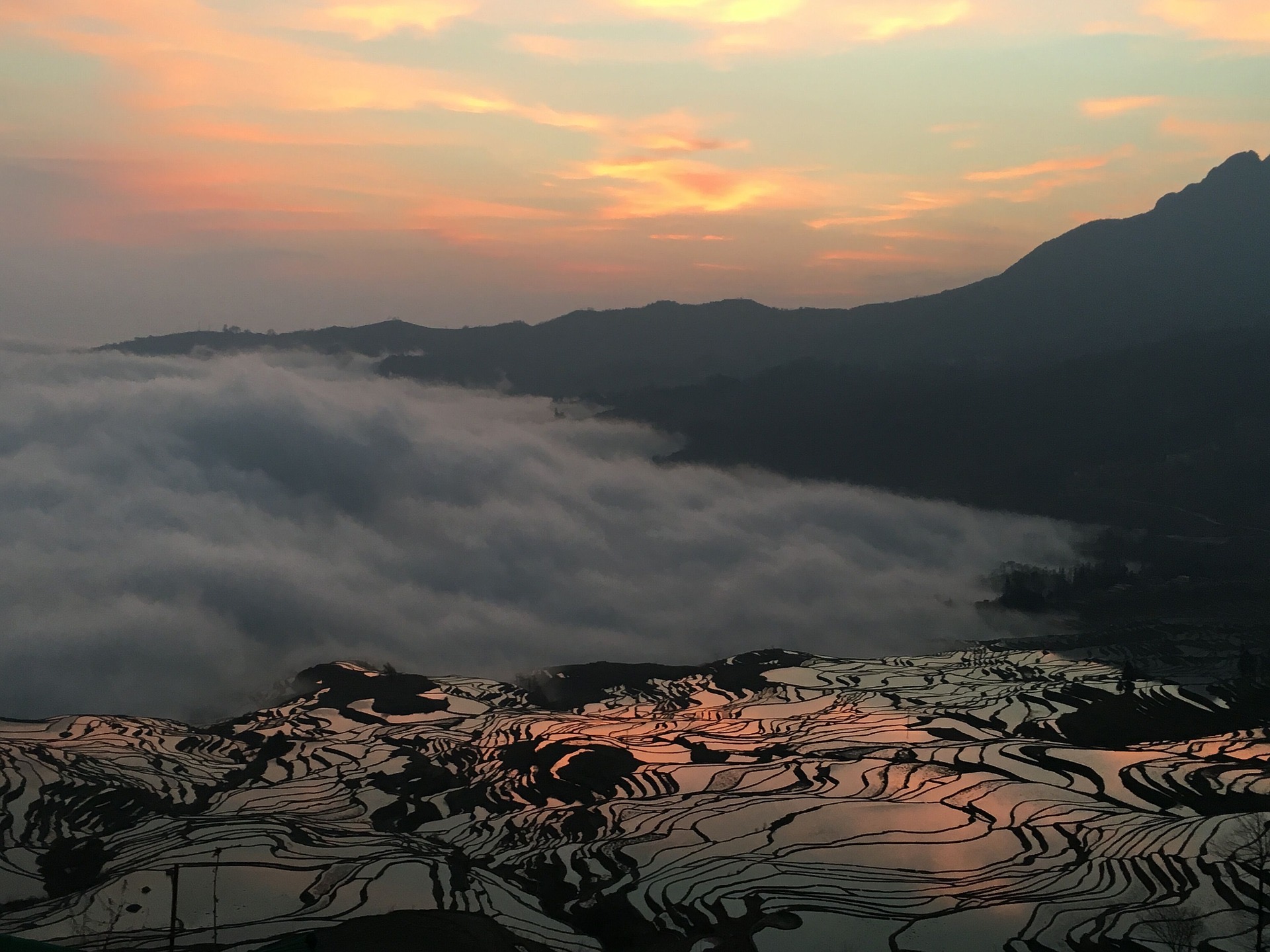 Yuanyang Rice Terraces