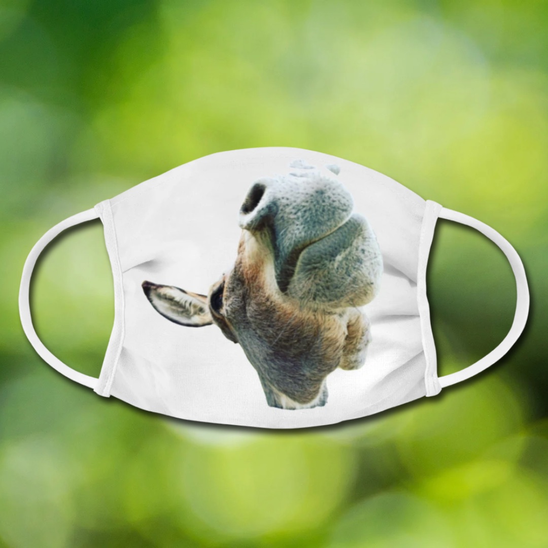 Will that change in the new year 2022 and will we be able to travel again as in the „Good old Time“, i.e. before March 2020?